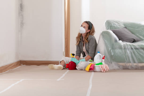 Reliable Commercial Mold Remediation contractor in Brentwood, PA by WQB Mold Removal